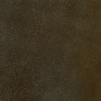 Rider Desert swatch