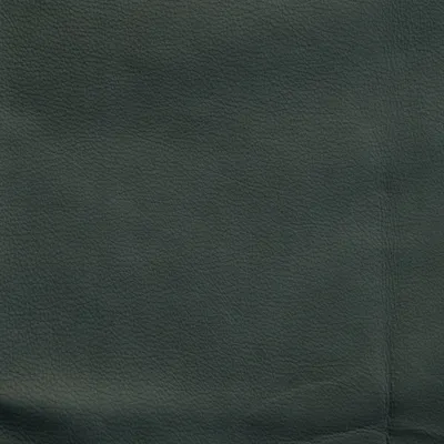 Rider Ice swatch