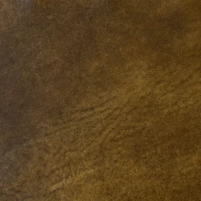 Rider Palomino swatch