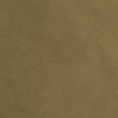 Rider Sand swatch