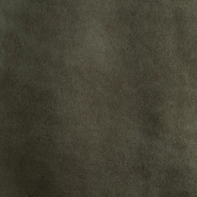 Tribe Sand swatch