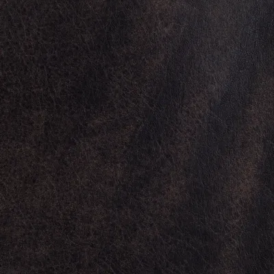 Tribe Timber swatch