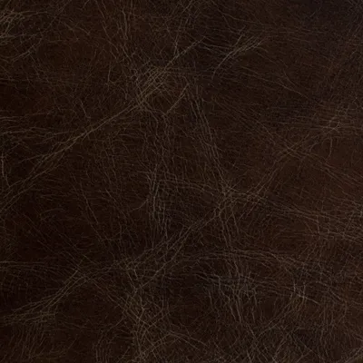 Vintage Cognac swatch