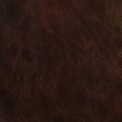 Vintage Copper swatch