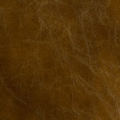 Vintage Mustard swatch