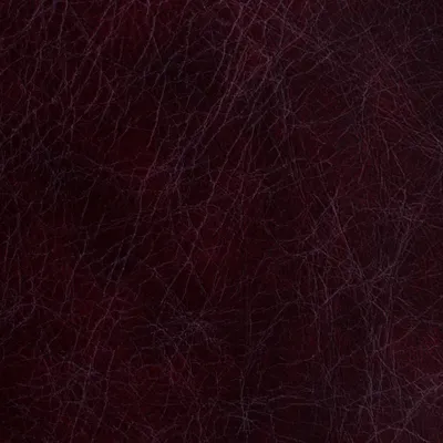 Vintage Oxblood swatch