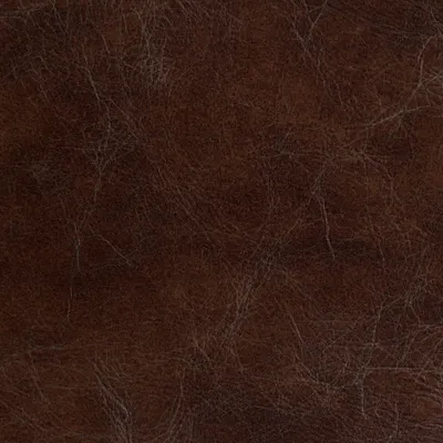 Vintage Tan swatch