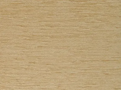 Camden designs Plain Wheat swatch