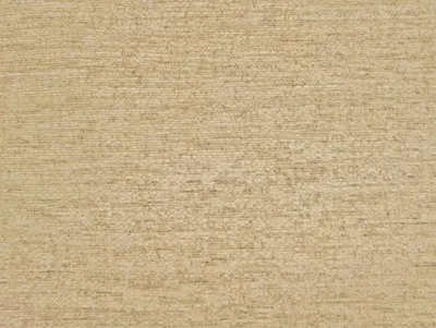 Bloomsbury Plain Oatmeal swatch