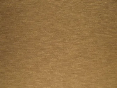 Keswick Plain Champagne swatch