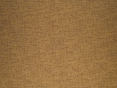 Keswick Uni Champagne swatch