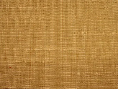 Kenton Slub Corn swatch