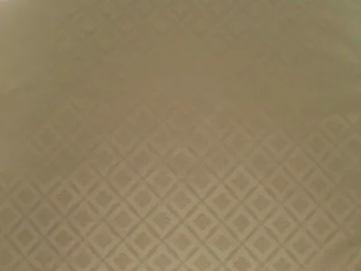 Damask Trellis Pearl swatch