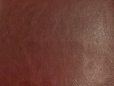 Denver Smooth Cognac swatch