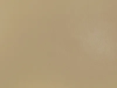 Denver Smooth Cream swatch