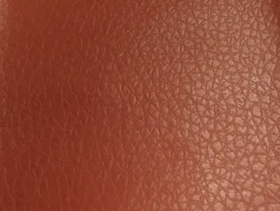 Denver Grained Tan swatch