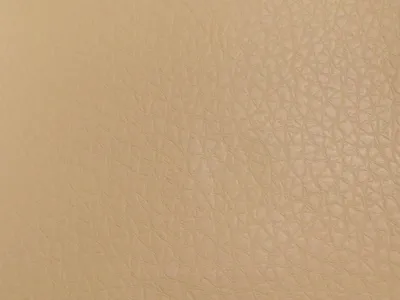 Denver Grained Cream swatch