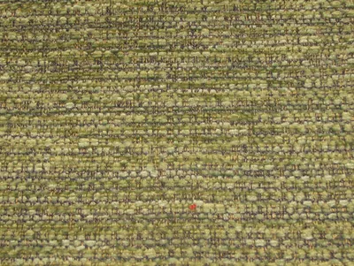 Caledonian Plains All Colours Fern swatch