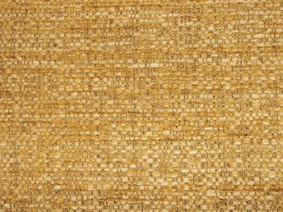 Caledonian Plains All Colours Champagne swatch