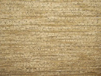 Soho Plain Cream swatch