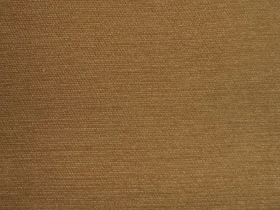Pimlico All Colours Biscuit swatch