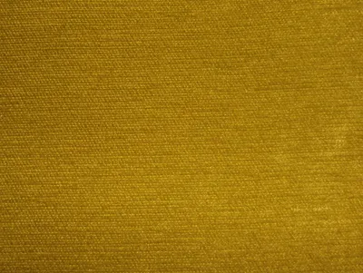 Pimlico All Colours Zest swatch