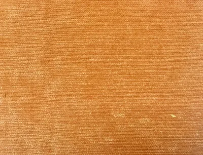 Pimlico All Colours Tangerine swatch