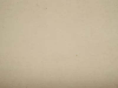 NOTTING HILL All Colours Dolphin swatch
