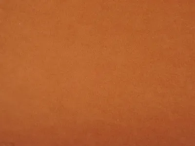 NOTTING HILL All Colours Apricot swatch