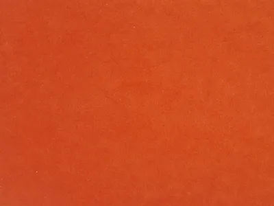 NOTTING HILL All Colours Orange swatch