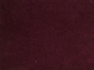 NOTTING HILL All Colours Burgundy swatch