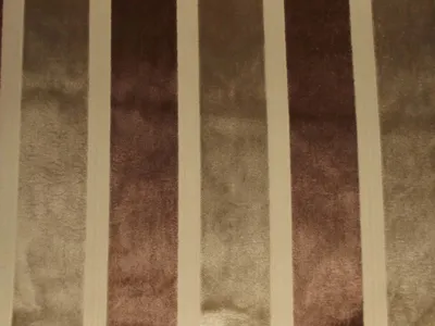 Eleganza Broad Stripe Caramel swatch