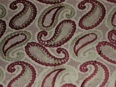 Eleganza Paisley Cranberry swatch
