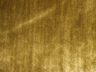 Pastiche Slub Citrus swatch