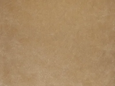 Pastiche Plain Natural swatch