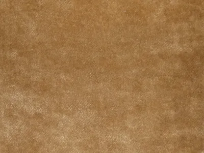 Pastiche Plain Biscuit swatch