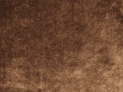Pastiche Plain Cocoa swatch
