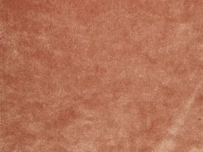 Pastiche Plain Coral swatch