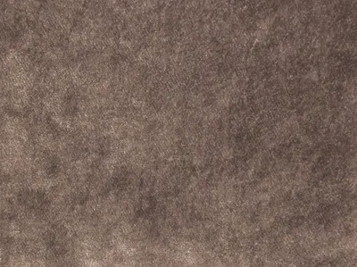 Pastiche Plain Dove swatch