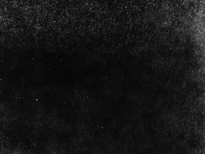 Pastiche Plain Black swatch