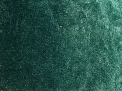 Pastiche Plain Fern swatch
