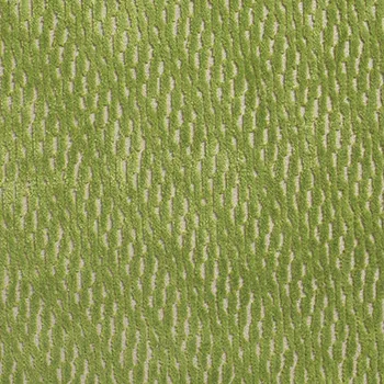 Zenn Dill swatch
