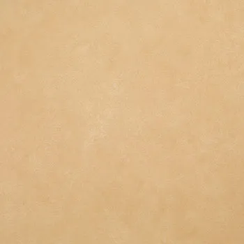 Nubuck Aquaclean Cookie swatch