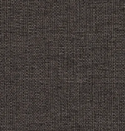 Kepler Noir swatch