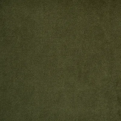 Madison FR Recycled Velvet Lichen swatch