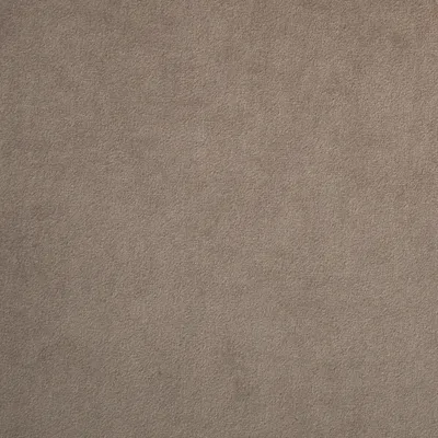 Madison FR Recycled Velvet Natural swatch