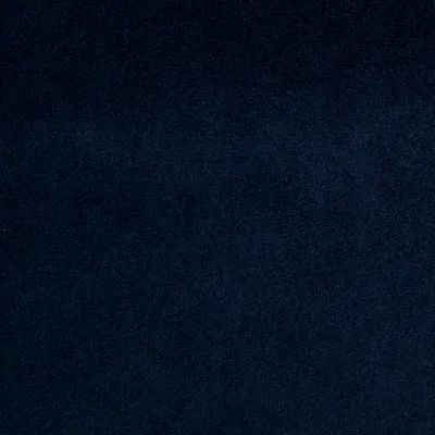 Madison FR Recycled Velvet Nautilus swatch