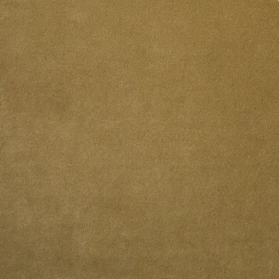 Madison FR Recycled Velvet Anole swatch
