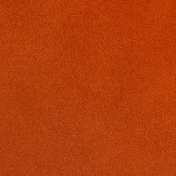 Pelle Aquaclean Burnside swatch