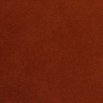 Pelle Aquaclean Snap swatch